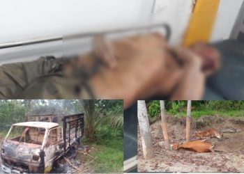 Diduga Maling Sapi Warga Julok Kritis Diamuk Massa