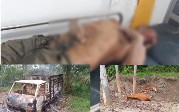 Diduga Maling Sapi Warga Julok Kritis Diamuk Massa