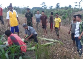 Pemuda Ini Tewas Tersengat Listrik Pengusir Hama