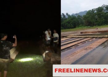 Polres Aceh Timur Sikat Ratusan Batang Kayu Illegal Logging