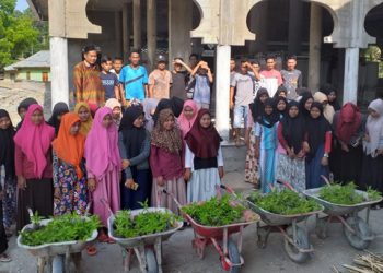 Patut Dicontoh, Muda-Mudi Seuneubok Simpang Hiasi Desa Dengan Celosia