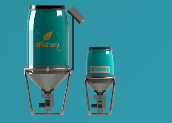 Ini Kawasan Budidaya Lele Digital Pertama di Indonesia