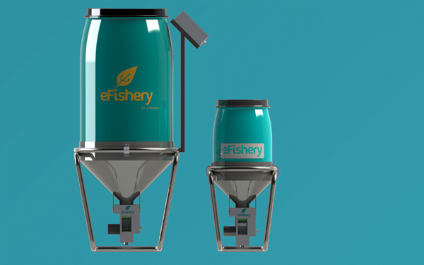 Ini Kawasan Budidaya Lele Digital Pertama di Indonesia