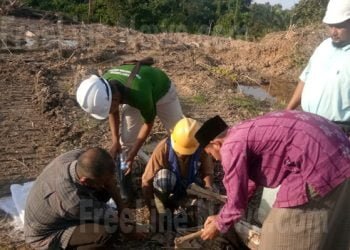 Dua Kerangka Manusia Ditemukan di Areal PKS