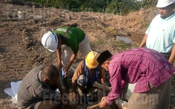 Dua Kerangka Manusia Ditemukan di Areal PKS