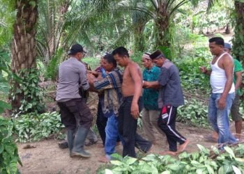 Sedang Menjala Ikan Seorang Kakek di Aceh Timur Diterkam Buaya