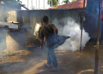 Kasus DBD Mencuat di Aceh Timur, Hingga Juni Ini 39 Kasus Terjadi