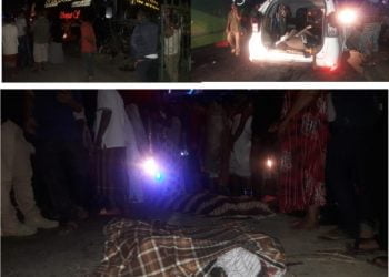 Laka Lantas Pante Bidari, Bus Kontra Xenia  6 Orang Meninggal Dunia