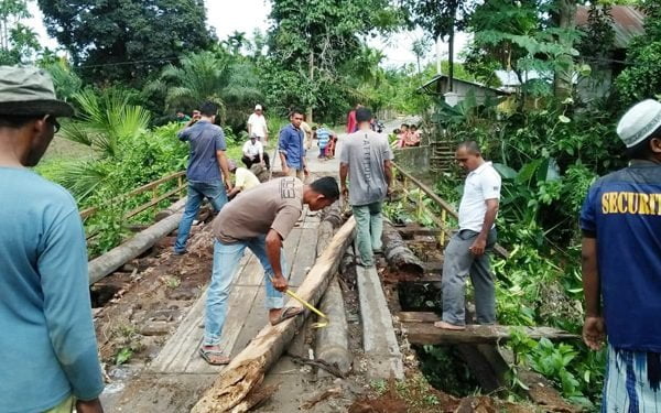 Pohon Kelapa Belah Dua Lantai jembatan Akses ke Makam Sulthan Peureulak