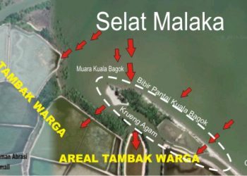 Ratusan Hektar Tambak di Bagok Terancam Menjadi Laut