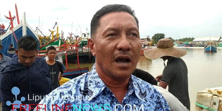 Dinas Perikanan Aceh Timur Imbau Masyarakat Jangan Khawatir Kosumsi Ikan Laut