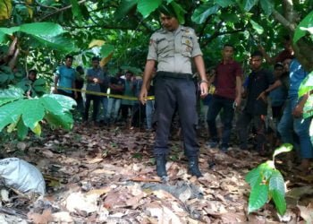 Pencari Rumput Ternak Temukan Kerangka Manusia