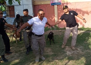 Waspadai, Jalan Nasional Lintas Aceh Timur Banyak Ternak Berkeliaran