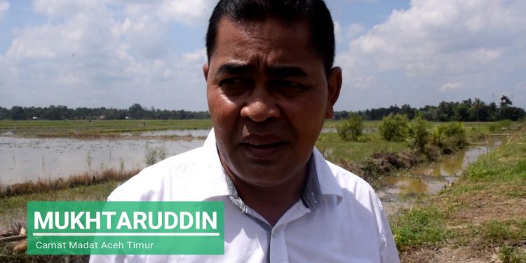 Trobosan Camat Madat Dalam Meningkatkan Ekonomi Petani