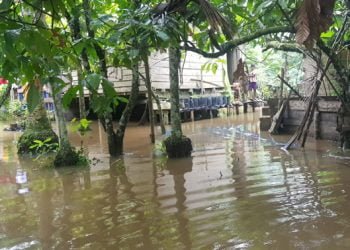 Empat Rumah Tertimpa Longsor dan Puluhan KK Terendam di Banda Alam
