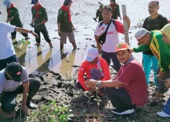 Mahasiswa IAIN Langsa Tanam 3000 Mangrove
