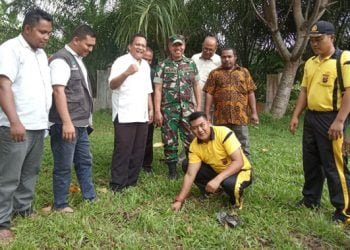 Wujudkan Lingkungan Sehat dan Hijau Muspika Petir Tanam Pohon Kelor