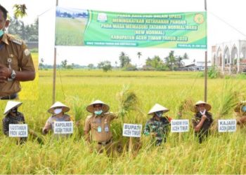 Bupati Rocky: “Alhamdulillah Stock Pangan di Daerah Kita Masih Aman dan Mencukupi”