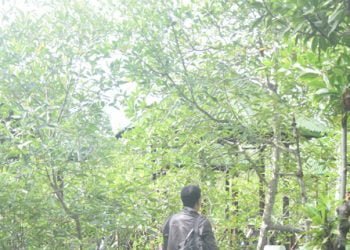 Pengakuan Sahabat Penulis, Pasien Positif Covid-19 Aceh Timur : “ Tidak Ada Gejala Yang Saya Rasakan” Part I