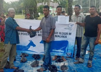 Medco Blok A Salurkan Hewan Qurban Kepada Masyarakat Aceh Timur