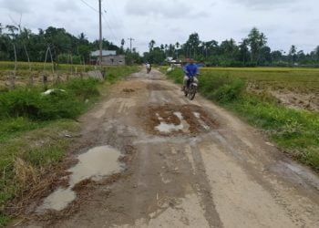 Jalan-Jalan ke Pedalaman Bagok, “Aspal Jerami” Menutupi Lubang Jalan