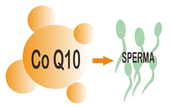 Ini Manfaat Coenzyme Q10 (CoQ10) Untuk Kesuburan Pria dan Wanita