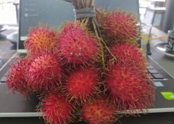 Ini Sedang Musim, Perlu Anda Tahu Apa Manfaat Rambutan