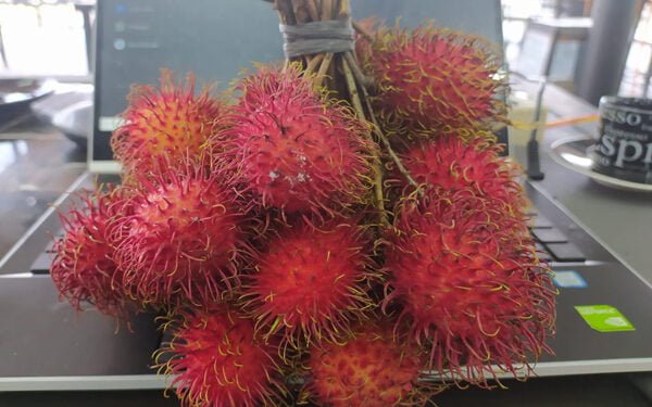 Ini Sedang Musim, Perlu Anda Tahu Apa Manfaat Rambutan