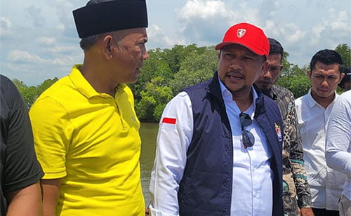 Adi Maros Tinjau Jembatan 2