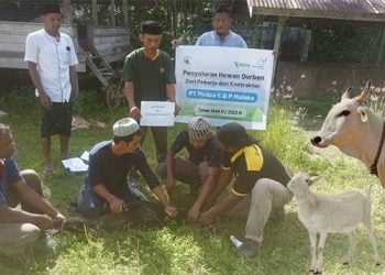 Medco E&P Malaka Serahkan Puluhan Hewan Kurban
