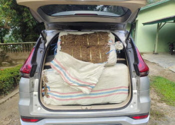 Kodim 0104/Atim Berhasil Gagalkan Penyelundupan 75 Kg Ganja