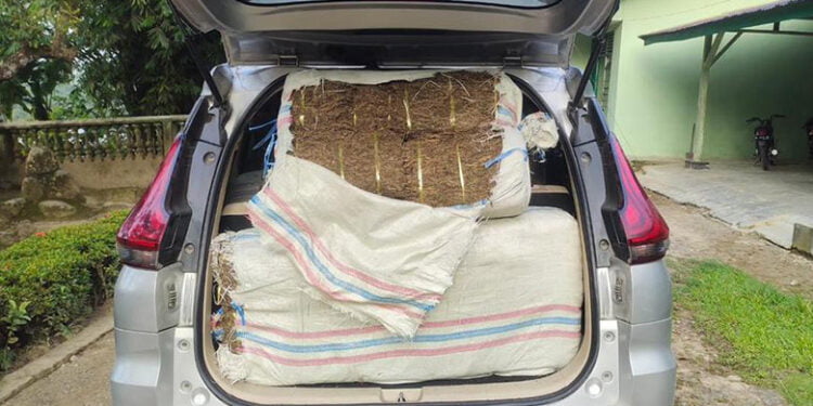 Kodim 0104/Atim Berhasil Gagalkan Penyelundupan 75 Kg Ganja