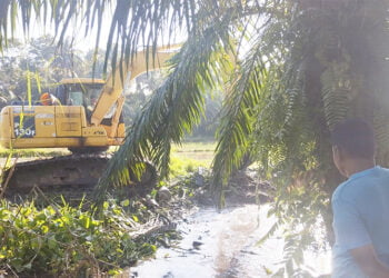 Kak Iin Duet Ridwan Rusli Bintang Tangulangi Sawah Terendam Pedalaman Aceh Timur