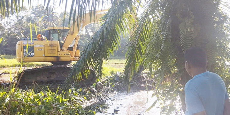 Kak Iin Duet Ridwan Rusli Bintang Tangulangi Sawah Terendam Pedalaman Aceh Timur