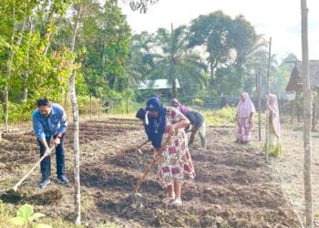 PT Medco E & P Malaka Galakkan P3L di Desa di Area Operasi