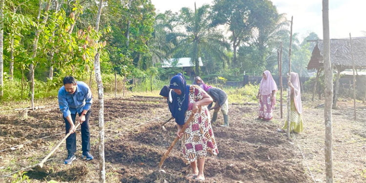 PT Medco E & P Malaka Galakkan P3L di Desa di Area Operasi