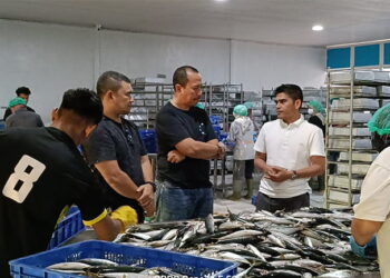 Abu Heri Petani Sukses Aceh Selatan Turun Gunung Melirik Sektor Prikanan di CV FIM Aceh