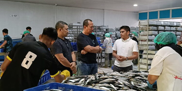 Abu Heri Petani Sukses Aceh Selatan Turun Gunung Melirik Sektor Prikanan di CV FIM Aceh
