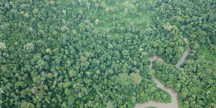 PENGADAAN LAHAN 22.000 HA UNTUK EKS KOMBATAN GAM DI ACEH TIMURPemerintah Perlu Hati-Hati Cari Lahan Yang Layak Untuk Eks Kombatan GAM