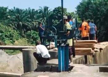 Ratusan Hektar Sawah Irigasi di Indra Makmur Terbengkalai