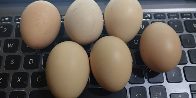 Apakah Telur Dapat Meningkatkan Gairah Seks Anda?