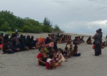 Ratusan Etnis Rohingya Kembali Mendarat di Aceh Timur