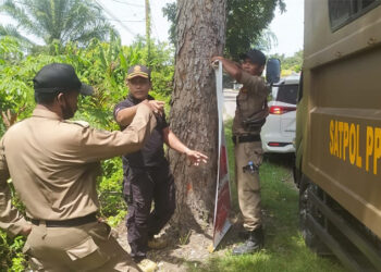 Satpol PP Aceh Timur Tertipkan Ratusan APK Langgar Aturan