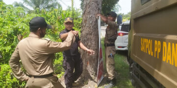 Satpol PP Aceh Timur Tertipkan Ratusan APK Langgar Aturan