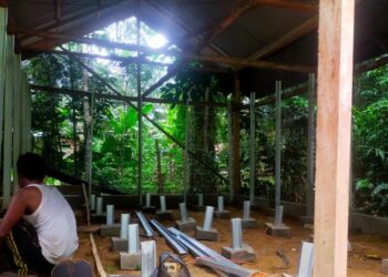 Usaha Jamur Tiram Putra Syuhada Binaan Medco E & P Malaka Siap Berkalobarasi dengan Koperasi Merah Putih