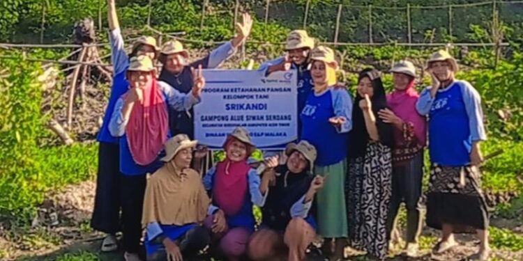 Ini Kata Pj Keuchik Alue Siwah Serdang Tentang Medco E & P Malaka