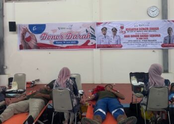 HUT MedcoEnergi ke-45 Gelar Aksi Donor Darah di Aceh Timur dan Langsa