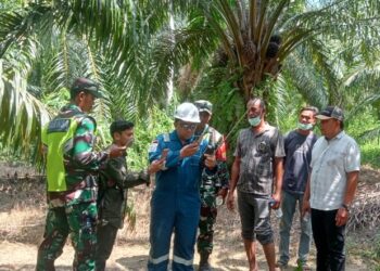 DLHK Aceh Timur Tidak Menemukan Adanya Gas H2S di Panton Rayeuk T