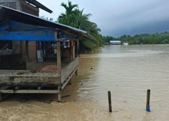 Bencana Tahun Lalu Belum Kelar, Aceh Timur Kembali Diselimuti Banjir
