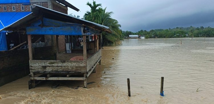 Bencana Tahun Lalu Belum Kelar, Aceh Timur Kembali Diselimuti Banjir